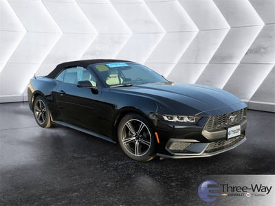 2024 Ford Mustang EcoBoost