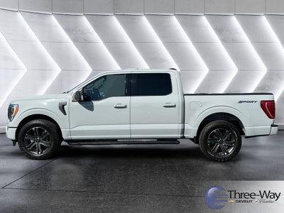 2023 Ford F-150 XL